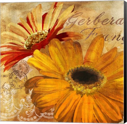 Framed Golden Gerbera II Print