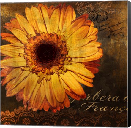 Framed Golden Gerbera III Print