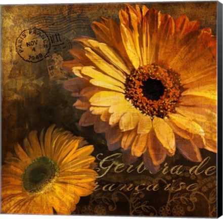 Framed Golden Gerbera IV Print