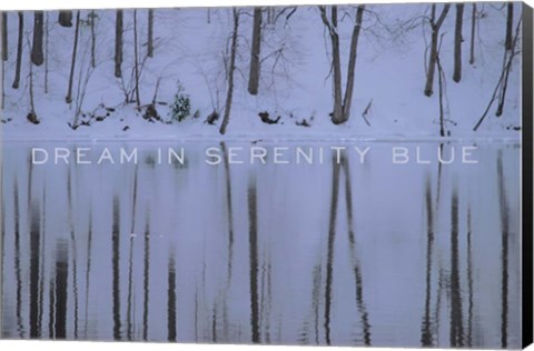 Framed Dream in Serenity Blue Print