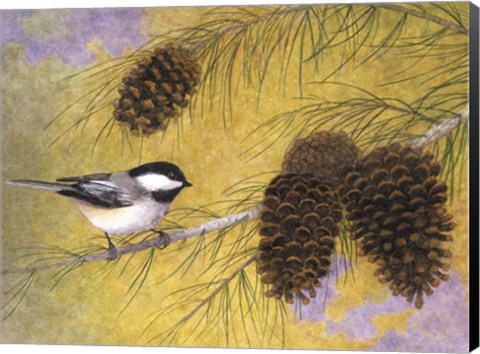 Framed Chickadee in the Pines I Print