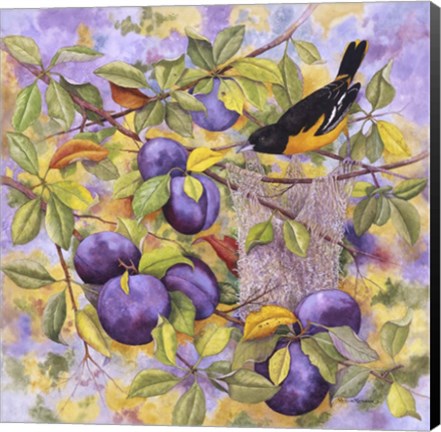 Framed Oriole &amp; Plums Print