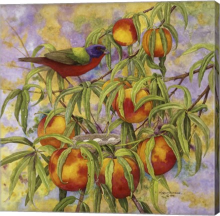 Framed Painted Bunting &amp; Peaches Print