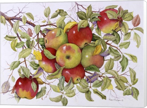 Framed Apples Print