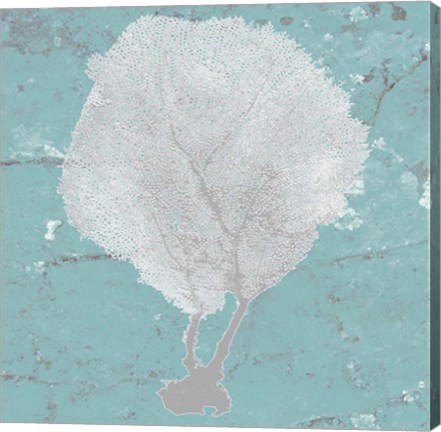 Framed Graphic Sea Fan II Print