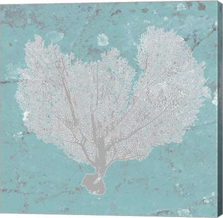 Framed Graphic Sea Fan VI Print