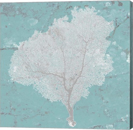 Framed Graphic Sea Fan VII Print