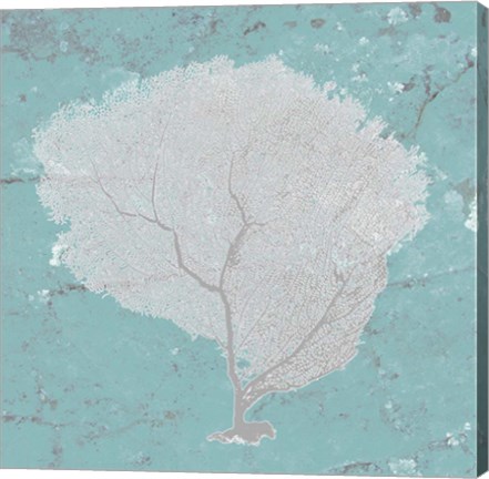 Framed Graphic Sea Fan IX Print