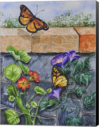Framed Monarchs, Nasturtiums and Morning Glories Print