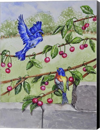 Framed Indigo Bunting and Rainbow Bunting Print