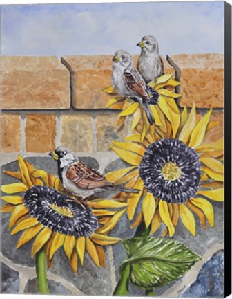 Framed House Sparows with Sunflowers Print