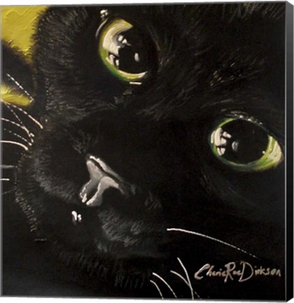 Framed Cat&#39;s Eyes Print
