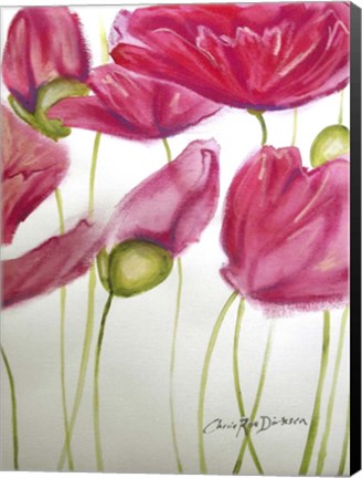 Framed Pink Poppies Print