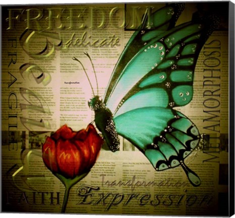 Framed Butterfly on Flower with Words Print