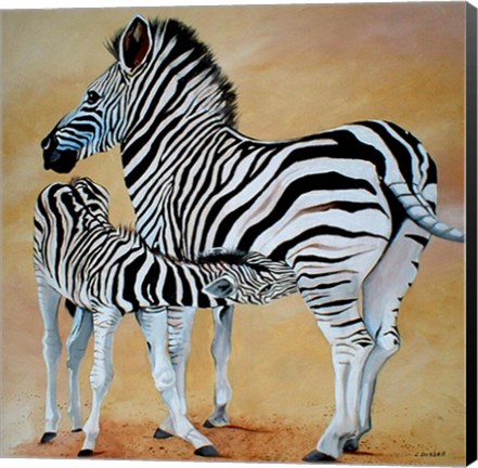 Framed Zebra Bonding Print