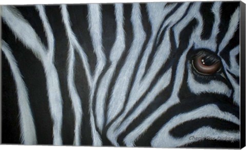 Framed Zebra Eye Print