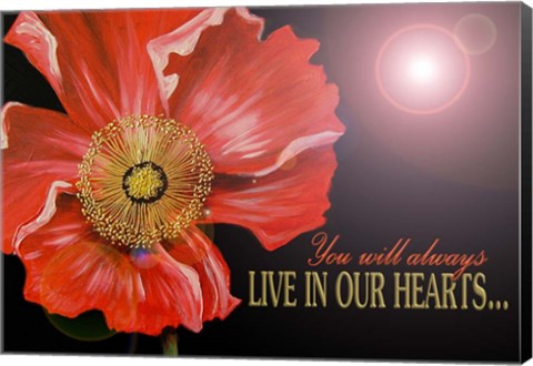 Framed Bereavement Poppy Print