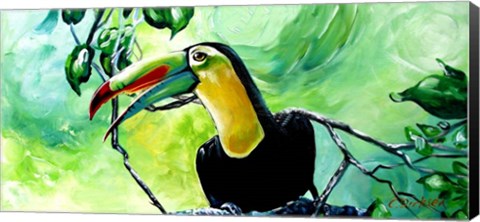 Framed Macaw Print