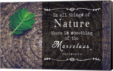 Framed In all things of Nature Print