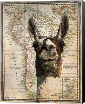 Framed South America Llama Map Print