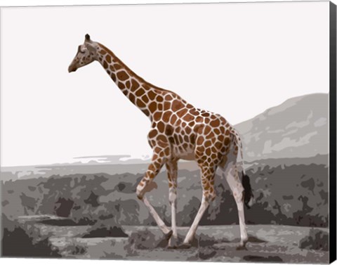 Framed Pop of Color Lone Giraffe Print