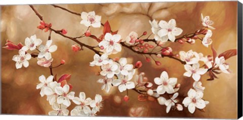Framed Sakura Print