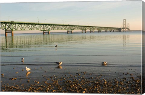 Framed Mackinac Bridge, Mackinaw City, Michigan Print