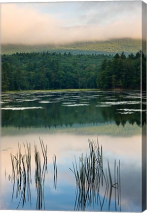 Framed Fog obscures the summit of Mt Monadnock, New Hampshire Print