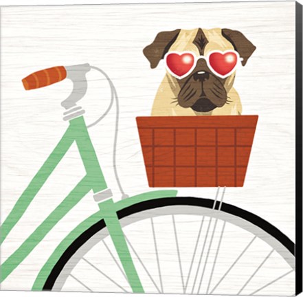 Framed Beach Bums Pug Bicycle I Print