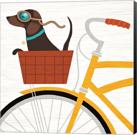 Framed Beach Bums Dachshund Bicycle I Print