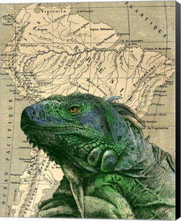 Framed Brazilian Iguana Print