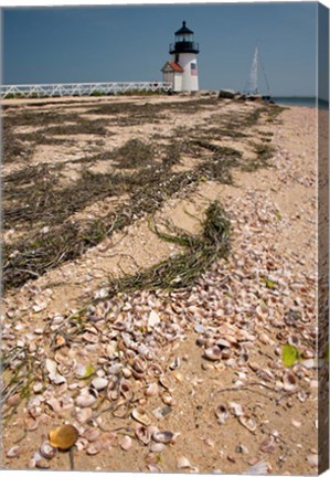 Framed Nantucket Shell in front of Brant Point lighthouse Print