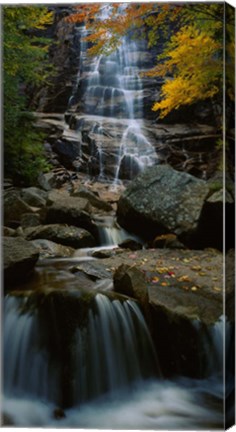 Framed Waterfall in a forest, Arethusa Falls, Crawford Notch State Park, New Hampshire, New England Print