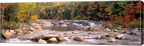 Framed New Hampshire, White Mountains National Forest, River flowing through the wilderness Print