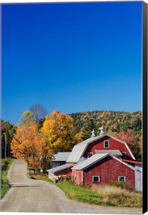 Framed Rural barn in autumn, New Hampshire Print