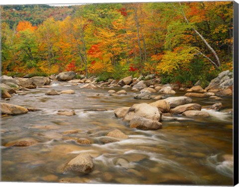 Framed River flowing through Forest in Autumn, White Mountains National Forest, New Hampshire Print