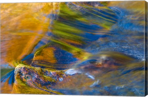 Framed Fall Reflections in Stream, White Mountain National Forest, New Hampshire Print