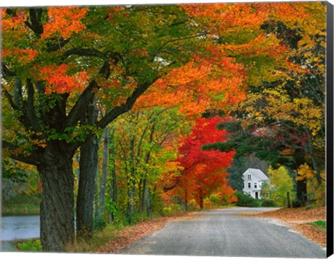 Framed New Hampshire, Andover Autumn color, England home Print