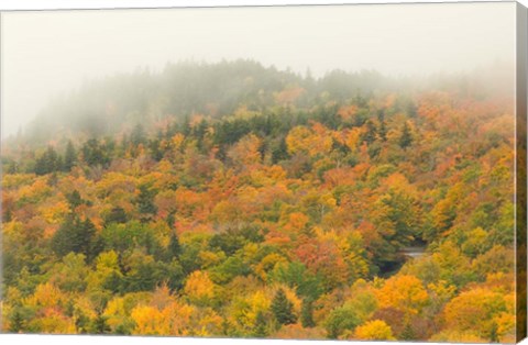 Framed New Hampshire, White Mountain National Forest, Autumn Print