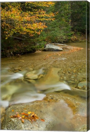 Framed New Hampshire; Lincoln; Franconia Notch Print