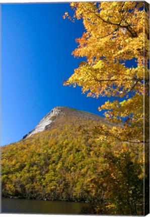 Framed White Mountains, Franconia Notch, New Hampshire Print