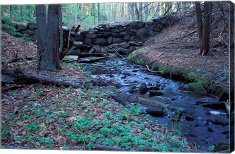 Framed Banks of Lamprey River, National Wild and Scenic River, New Hampshire Print