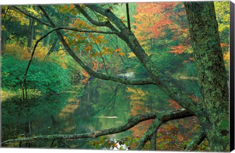 Framed Fall Along the Lamprey River in Durham, New Hampshire Print