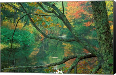 Framed Fall on the Lamprey River below Wiswall Dam, New Hampshire Print