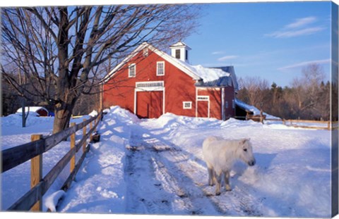 Framed Pony and Barn near the Lamprey River in Winter, New Hampshire Print