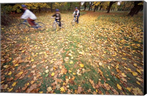 Framed Riding Bikes in Late Fall, New Hampshire Print