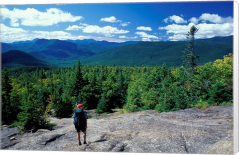 Framed Hiking on Mt Crawford, New Hampshire Print