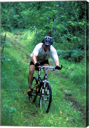 Framed Mountain Biking on Providence Pond Loop Trail, White Mountain National Forest, New Hampshire Print