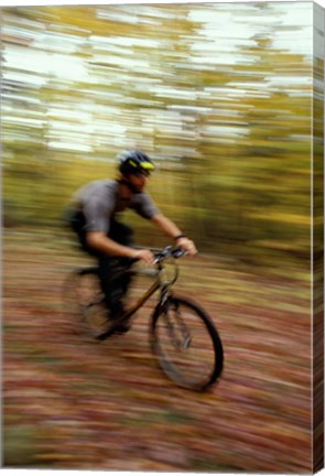 Framed Mountain Biking, Old Logging Road, New Hampshire Print