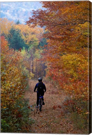 Framed Mountain Biking on Old Logging Road, New Hampshire Print